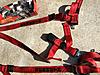 Schroth QuickFit Harness Pair plus Rear Seat Delete-img_7533.jpg