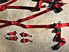 Schroth QuickFit Harness Pair plus Rear Seat Delete-img_7532.jpg