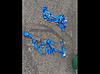 Scrhoth Racing Harness-390047-1463335941-712782.jpg