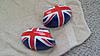 R53 union mirror covers-20160622_180425.jpg