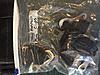Schroth Racing Quick Fit Harness Set-img_3068.jpg