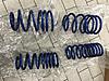 NM R60/R61 lowering springs-img_1708.jpg