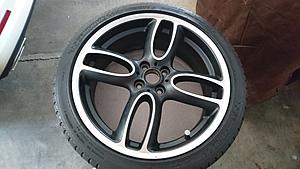Mini gp1 18"-2017-06-04-15.45.18.jpg