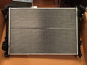 Radiator-img_0469.jpg