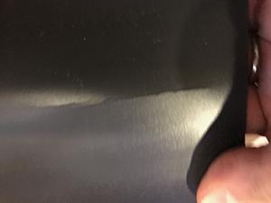 Genuine Factory OEM Magnetic Stone Guards-img_5284.jpg