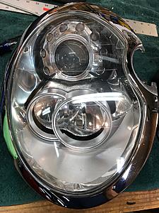 Xenons-img_9676.jpg
