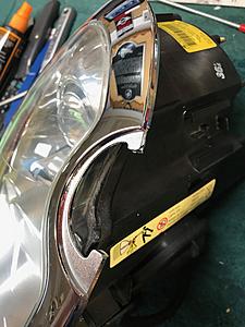 Xenons-img_9678.jpg