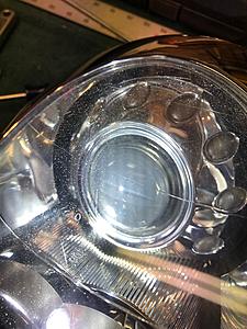 Xenons-img_9684.jpg