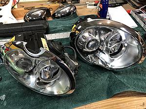 Xenons-img_9689.jpg