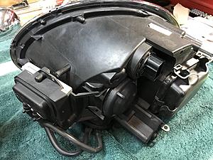 Xenons-img_9692.jpg