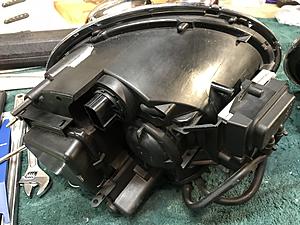 Xenons-img_9693.jpg