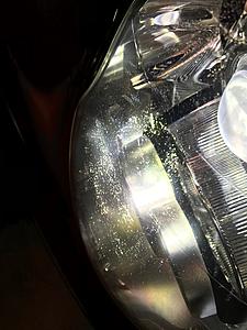 Xenons-img_9530.jpg