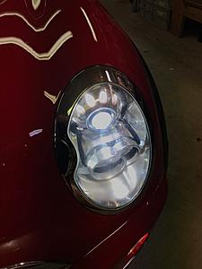 Xenons-img_9534.jpg