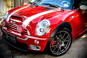 Xenons-img_6580img_6580.jpg