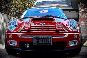 Xenons-img_6626img_6626.jpg