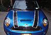 Black bonnet stripes-dsc05252.jpg
