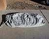 covercraft car cover-cover.jpg