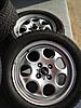 15" Holeys (R81) with Continental ExtremeWinterContacts-img_2192.jpg