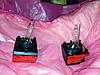 Autoleveling Bixenon HID Factory-1.jpg