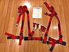 Schroth Ralley Harness (Pair)-img_0985_small.jpg