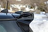 Mini Gen1 Spoiler-imgp7261.jpg