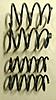 Exhaust, downpipe, springs, jb+-wp_20140826_006.jpg