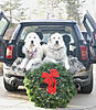 New Colorado NAM members, please post HERE!-117_1703_pyrs.jpg