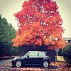 2010 Cooper S Mayfair (Rare) - Feeler/Moving-mini-8-1-.jpg