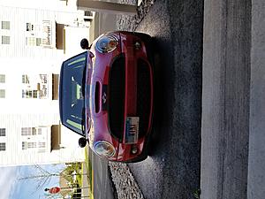 chili red-20180426_172028.jpg