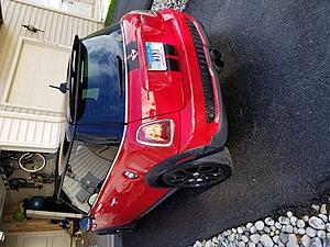 chili red-20180426_172117.jpg