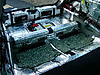 Opinions from all the audiophiles out there-dscn0027.jpg