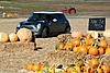 MCS DS/W @ Peter Pumpkin Patch-dsc_0042.jpg
