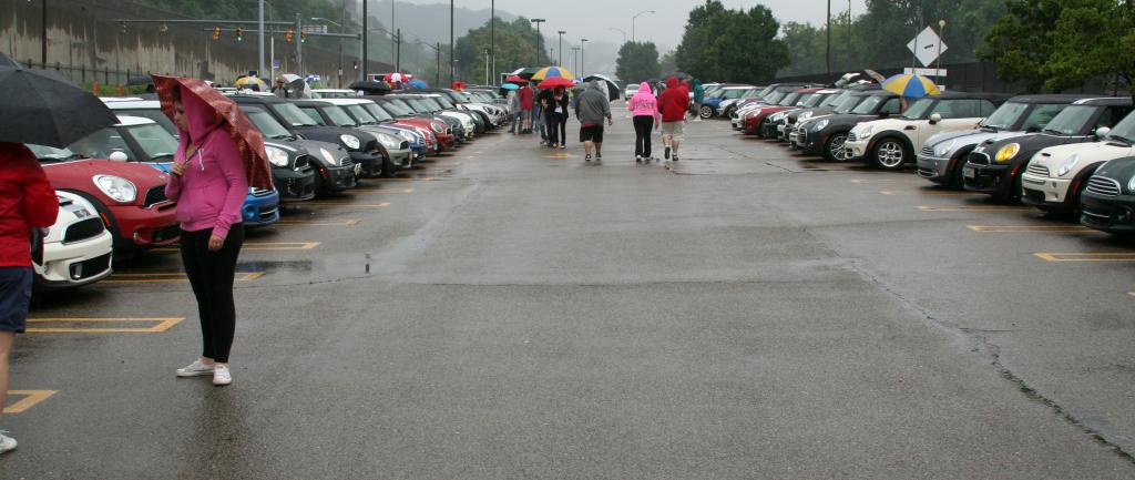 Name:  PVGP-01_zpsa3800e6d.jpg
Views: 17
Size:  70.4 KB