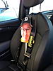 The Adventures of Flat Colin-img_0153.jpg