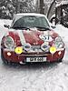 Snowy Cooper-image.jpg