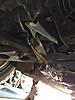 MINI got loud-10-2014-backup-869.jpg