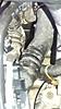 Hose from radiator fill tank-mini-hose-1.jpg