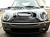 Mini Vs Deer-dscn1990a.jpg