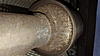Puzzled-cat02c.jpg