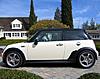 lets see your pepper white mini-a-happy-mini.jpg