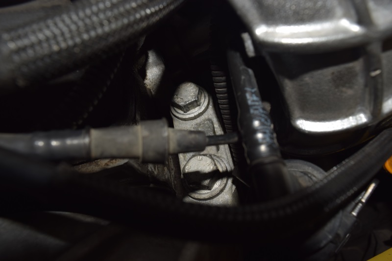 Name:  DSC_0662_zpst0oejlzh.jpg
Views: 83997
Size:  81.8 KB