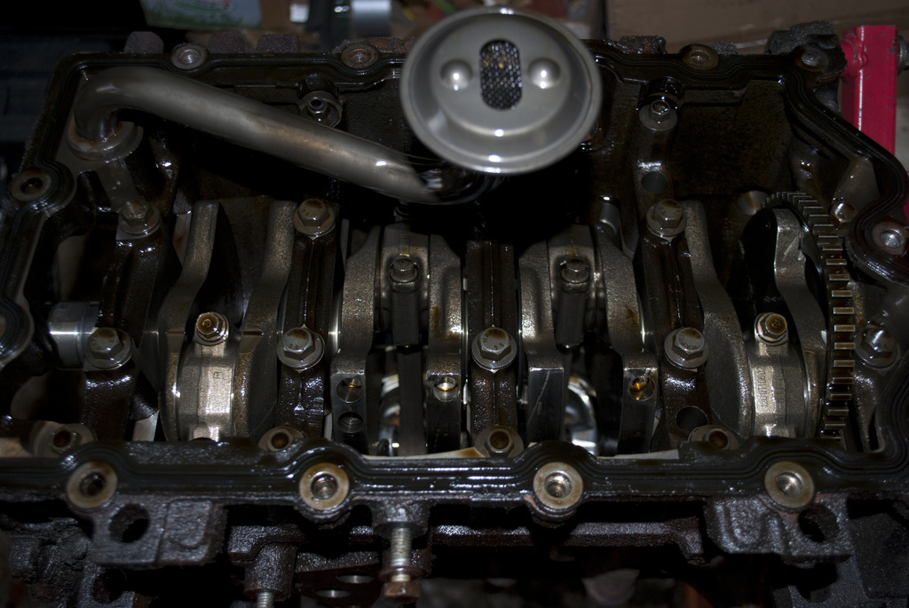 Name: DSC_1024_zpsr77ugi9c.jpg
Views: 312
Size: 225.4 KB