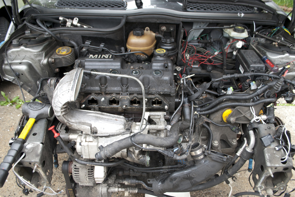 Name: DSC_0911_zps8plzymnt.jpg
Views: 469
Size: 316.2 KB