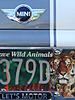 This photo could be titled.........-dsc02259.jpg