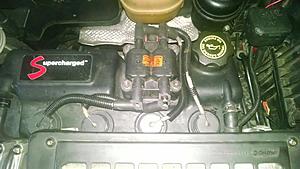 Damn Rodents!!!-img_20180129_201303.jpg