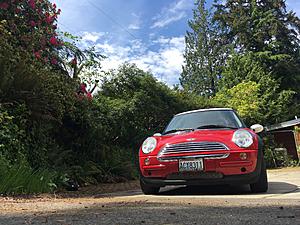 PPI in N bay area, CA-img_7296.jpg