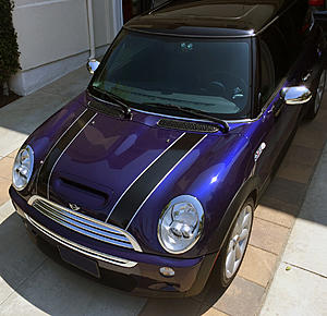 WTB: black bonnet stripes-img_6601.jpg
