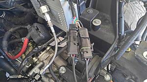 The Bomber --642WHP on the W11---n9pkubp.jpg