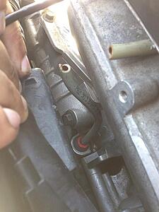 Help identify Evap leak-6hhbxfcl.jpg