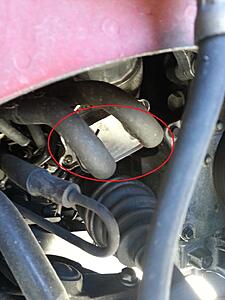 New findings every time I explore.-qstctnu.jpg